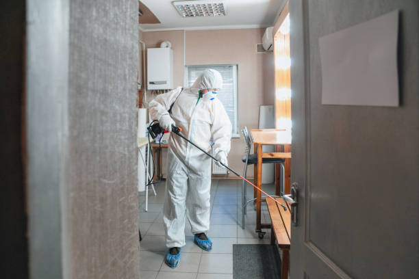 Best Industrial Mold Remediation  in Pahoa, HI