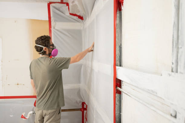 Mold Remediation for Vacation Homes in Pahoa, HI