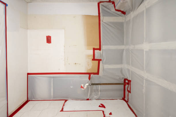 Best Attic Mold Removal  in Pahoa, HI