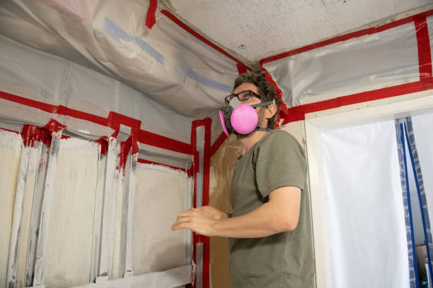 Best Mold Odor Removal Services  in Pahoa, HI
