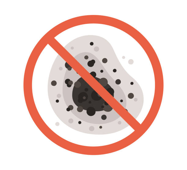Best Mold Remediation for Healthcare Facilities  in Pahoa, HI