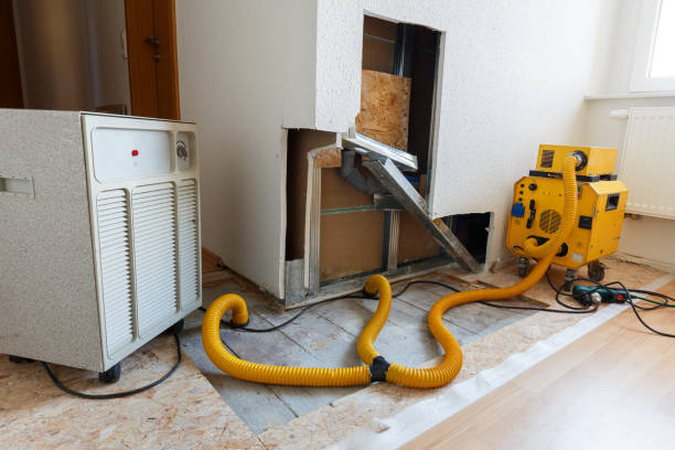 Best Post-Remediation Verification Testing  in Pahoa, HI