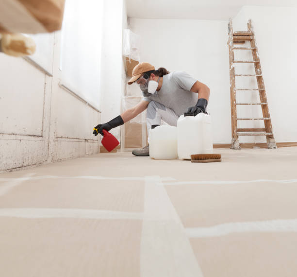Best Asbestos and Lead Testing During Mold Inspection  in Pahoa, HI